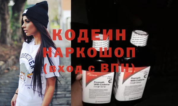 прущий лед Богданович