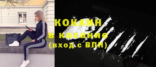 прущий лед Богданович