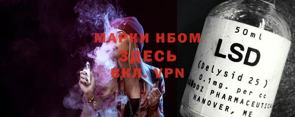 прущий лед Богданович