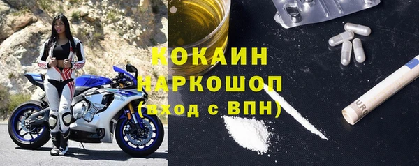 прущий лед Богданович