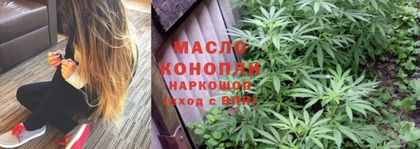МДПВ Богородск