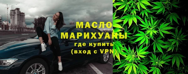 МДПВ Богородск