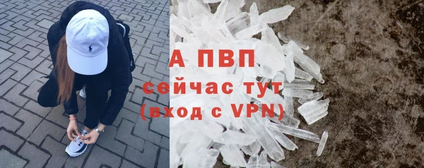 прущий лед Богданович